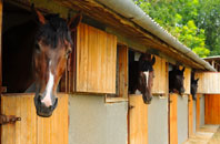 free Cadoxton stable construction quotes